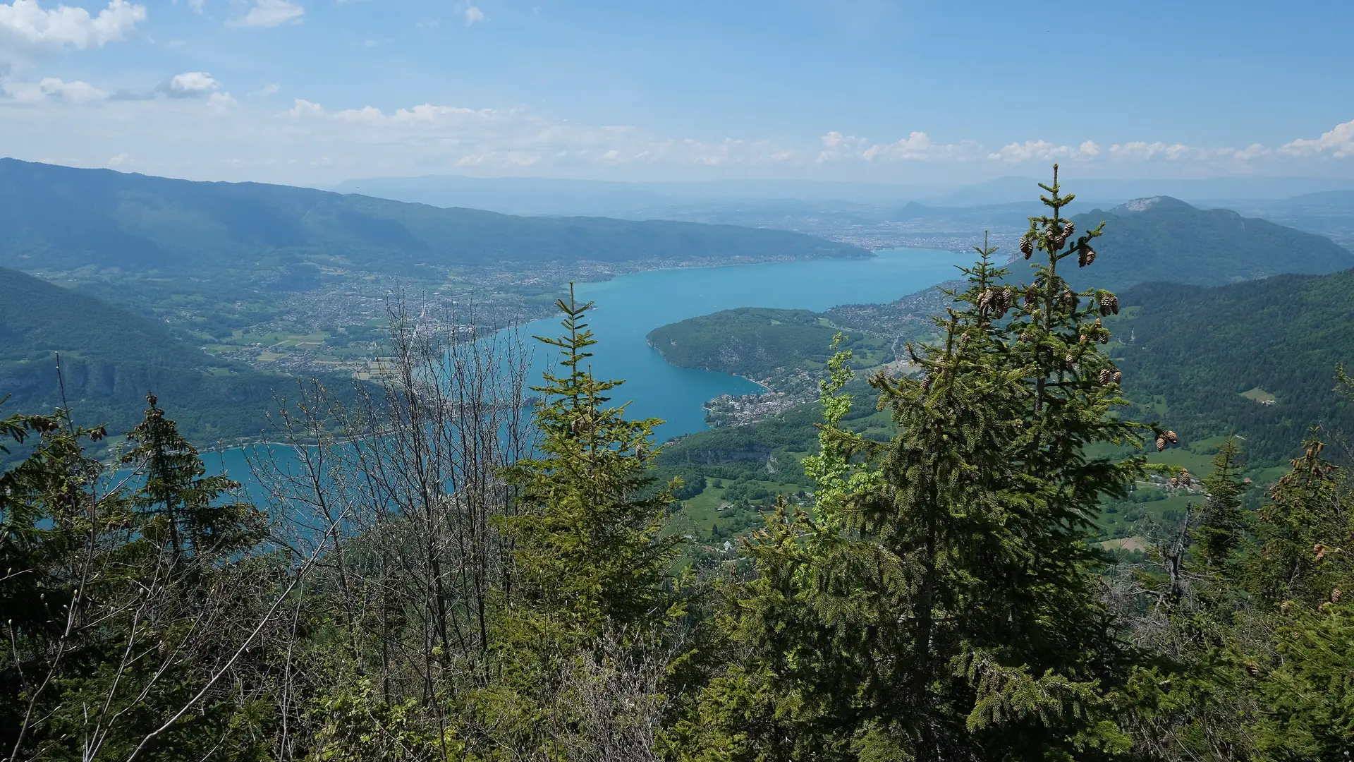 Le lac d'Annecy vu du Rocher du Roux